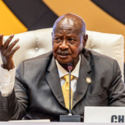 We do not own the rights to this image.