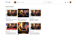 Results from the search 